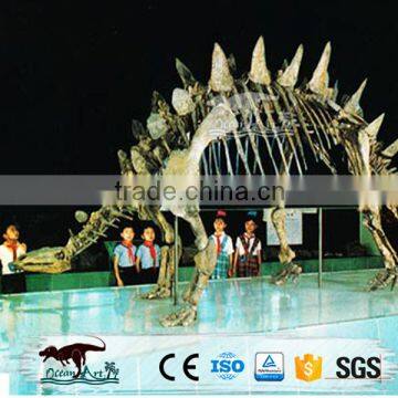 OA-DS-20160505S5 Science Museum Stegosaurus Dinosaur Fossils For Sale