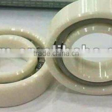 High Performance Ceramic Bearing 6307ZZ 6308ZZ 6309ZZ