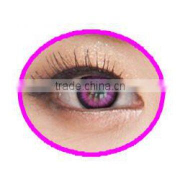 Naty Swan Korean eyeware yearly wholesale color contact lens