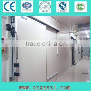 Congelador estandar puertas corrediza manual sliding door