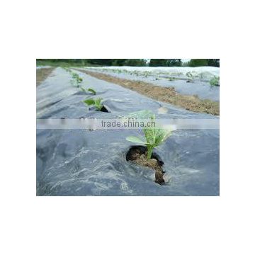 plastic mulch film for agriculture