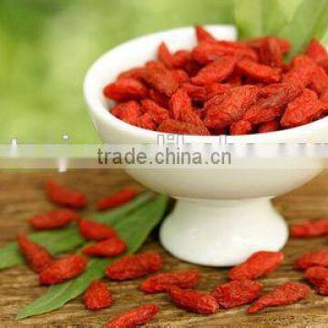 2016 New Plant Extraction Goji Fruit Oil Wolfberry Seed Oil Factory Direct Sale