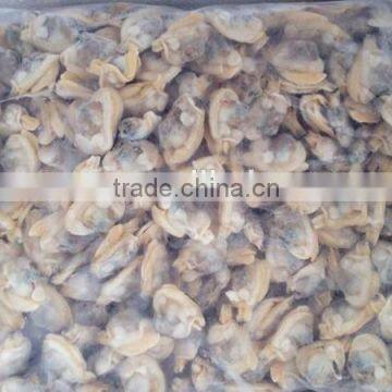 export frozen fresh clam meat