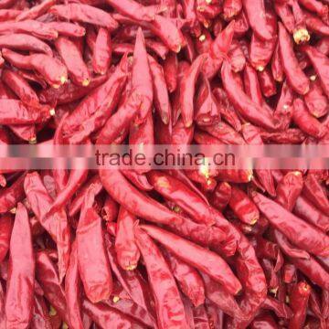 Chilli pod