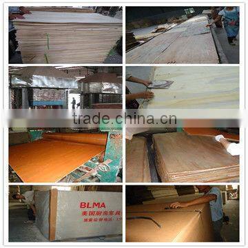 SONCAP certificate Poplar Plywood/Hardwood Plywood/Film Faced Plywood