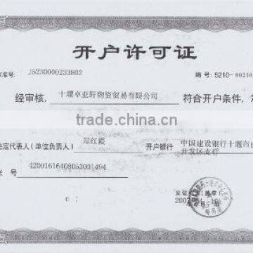 Bank Account Opening License