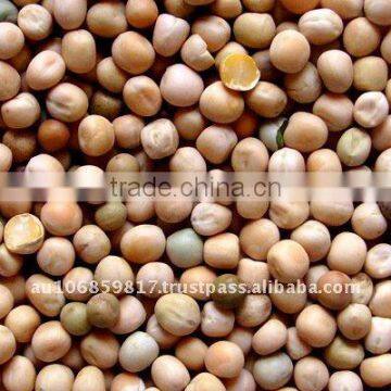 whole yellow peas Yellow peas whole / yellow peas / yellow whole hulled peas / whole yellow peas / yellow whole hulled peas