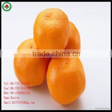 fresh mandarin orange