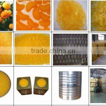 mandarin orange sacs citrus Fruit juice