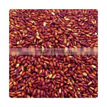 Red Yeast Rice Extract Powder