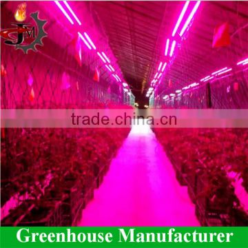 Hot sale led smart control greenhouse for sale