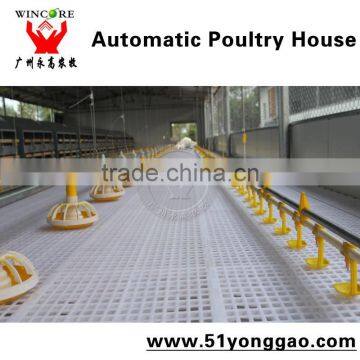 Poultry Automatic Feeding Drinking System for Chicken Brolier photo-3