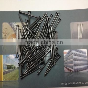 1"-6" Polished Common Nail (factory)