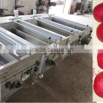 Root Vegetable Washing Machine photo-3