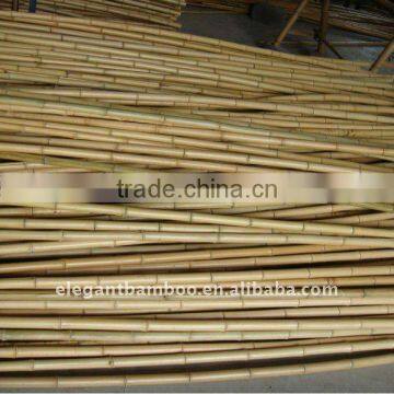 natural tonkin/tsinglee bamboo poles/sticks/stakes