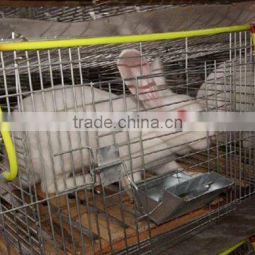 welded rabbit cage wire mesh