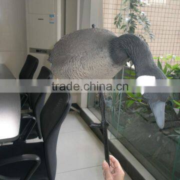 Wholesale Canada Goose Decoy for Hunting, Garden Decorative Goose Mold photo-6