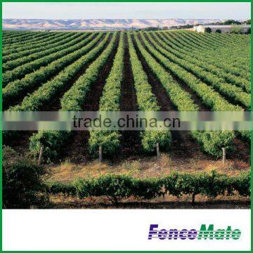 Hot Sale Vineyard Trellis photo-3