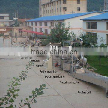 CE certification of fried peanut machine