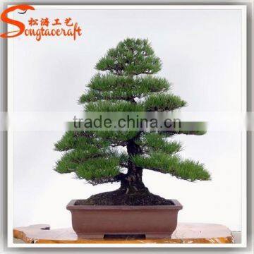 Distinctive Designs a Wide Variety of Artifical Life Size Artificial Decorative Plants and Trees photo-3