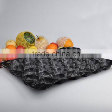 Popular Wholesale Texas USA Promotion High Grade Black Blue Color 5LB Tomato Insert Tray photo-4