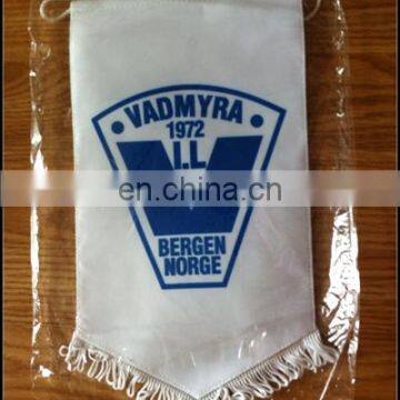 Custom Logo Dye Sublimation Printing Pennant Flag