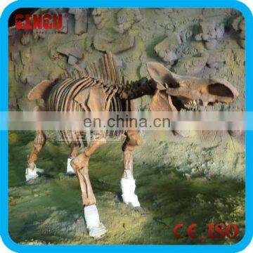 artificial animal skeletons for education