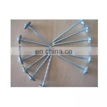 galvanized corrugated umbrella head roofing steel nails