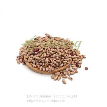 High Quality Common Cultivation Light Speckled Kidney Beans