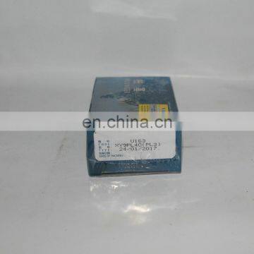 U163 Diesel Plunger PL3 Weifu Fuel Plunger Element XY9PL40