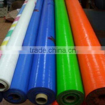 80gsm-320gsm Cjhina PE Tarpaulin With UV Treated for Car /Truck / Boat Cover photo-5