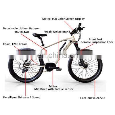 Hotselling 26inch Alloy Frame Electric Bicycle Beach Ebike 36v 250w Electric Mountain Bike