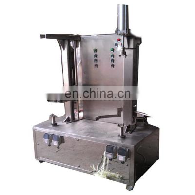 Factory sell automatic gourd peeler machine with competitive price