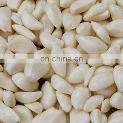 High Quality Garlic Peeling Machine / Garlic Skin Removing Machine photo-5