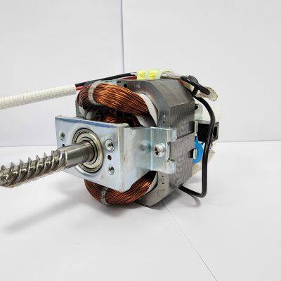 Brush AC Motor Rotor