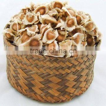 Superior Grade Moringa Seeds Manufacturer