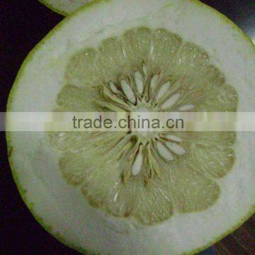 China Pomelo fruit