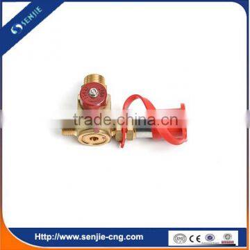 Fuel System Spare Parts Gas Precharge Valve photo-3