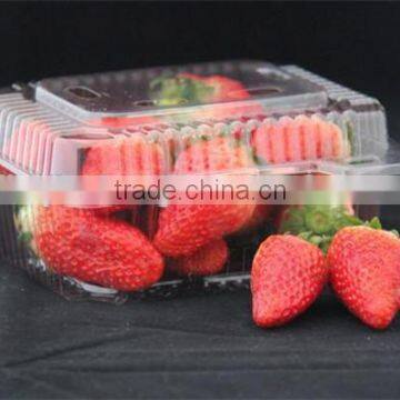 2015 Best Selling Plastic Clear Strawberry Packaging Box photo-2