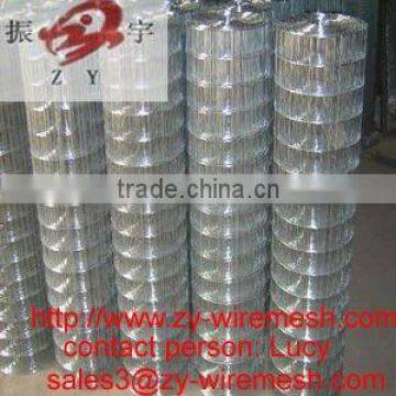 electro welded mesh ( best quality , low price , 13 years factory )