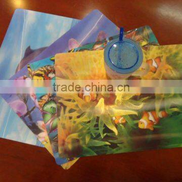 3D lenticular PP tablemat of animal design