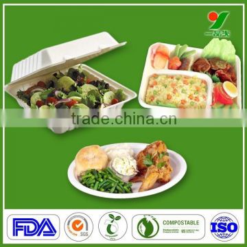 China supplier disposable custom green friendly packing box