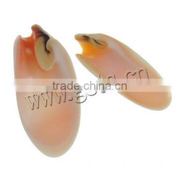 10.5x25x4-13x33.5x6mm Trumpet Shell Natural Freshwater Shell Pendants