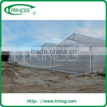 Perfect ventilation tropical greenhouse for tropical area