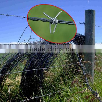 High Quality Galvanised Barbed Wire Fence(TUOSHENG Brand)