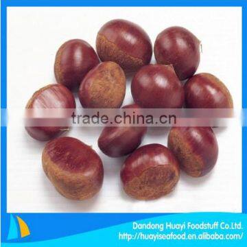 superior fresh frozen wholesale chestnuts price