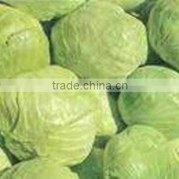 FREEZE DRIED CABBAGE FLAKES