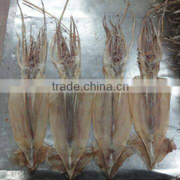 dried squid