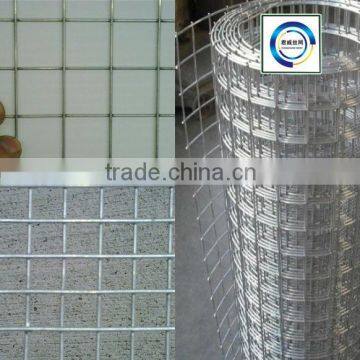 Hot Dipped Galvanized & Electric Galvanized Welded Wire Mesh