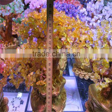 2015 Decorated Live Christmas Trees for Sale photo-5